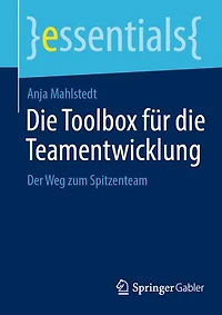 Die Toolbox für die Teamentwicklung: Der Weg zum Spitzenteam