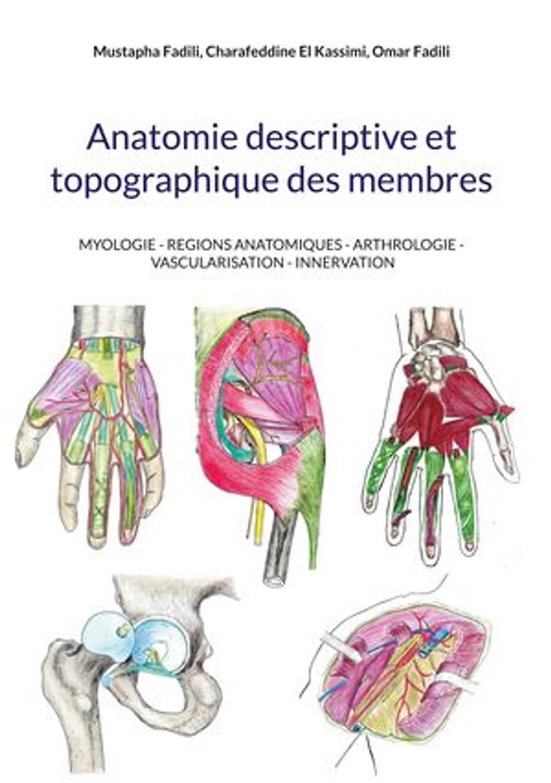 Anatomie descriptive et topographique des membres: MYOLOGIE - REGIONS ANATOMIQUES - ARTHROLOGIE - VASCULARISATION - INNERVATION