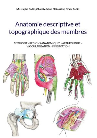 Anatomie descriptive et topographique des membres: MYOLOGIE - REGIONS ANATOMIQUES - ARTHROLOGIE - VASCULARISATION - INNERVATION