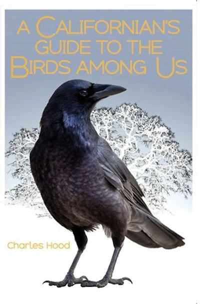 A Californian's Guide to the Birds Among Us