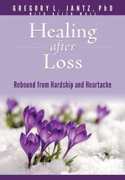 Healing after Loss: Rebound from Hardship and Heartache