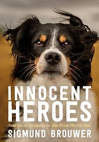 Innocent Heroes: Stories Of Animals The First World War