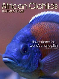 African Cichlids The Pet of Kings!: How to tame the world's smartest fish.