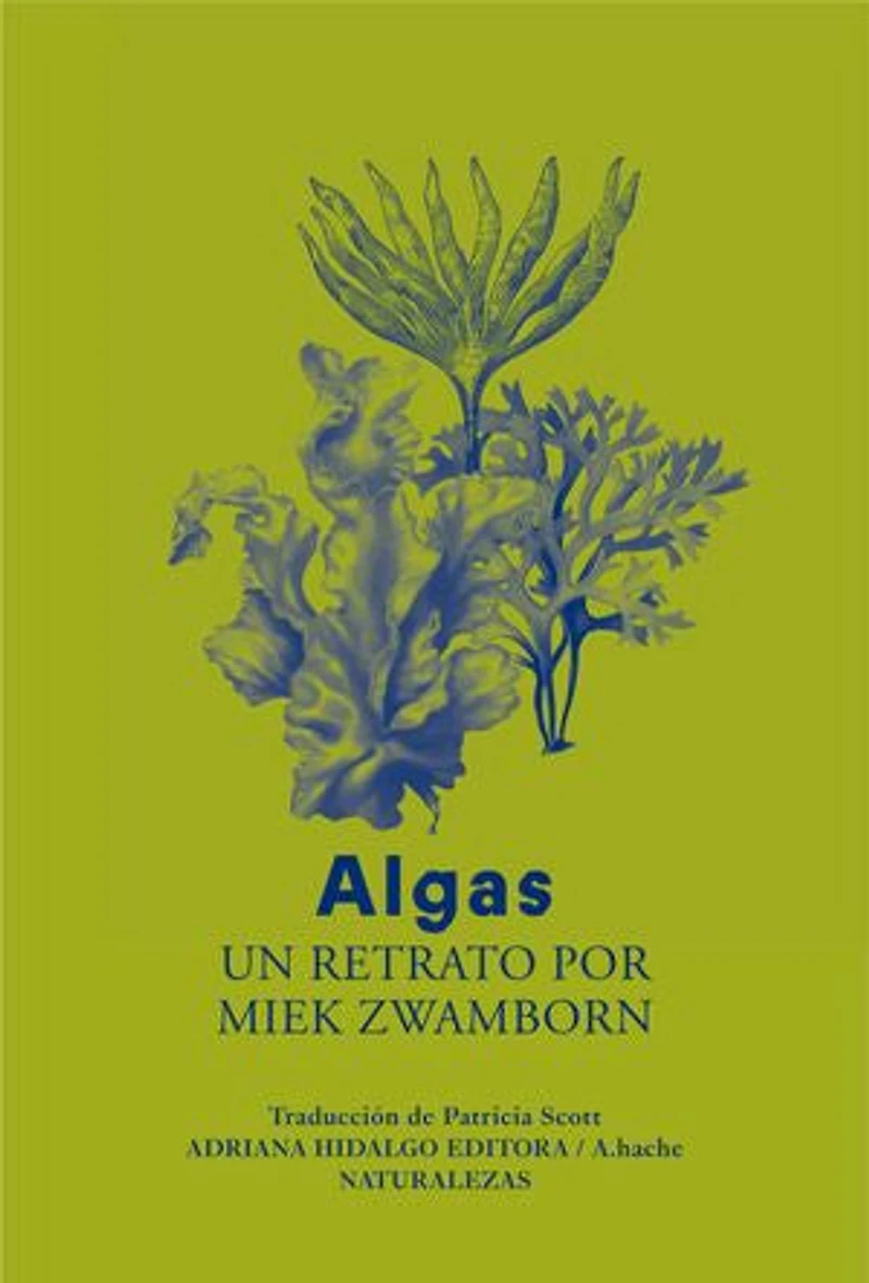 Algas: Un retrato por Miek Zwamborn