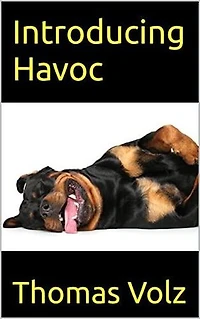 Introducing Havoc