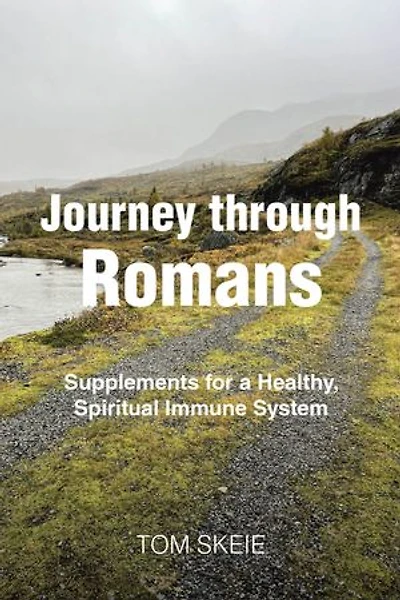 Journey through Romans: Supplements for a Healthy, Spiritual Immune System