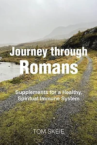 Journey through Romans: Supplements for a Healthy, Spiritual Immune System