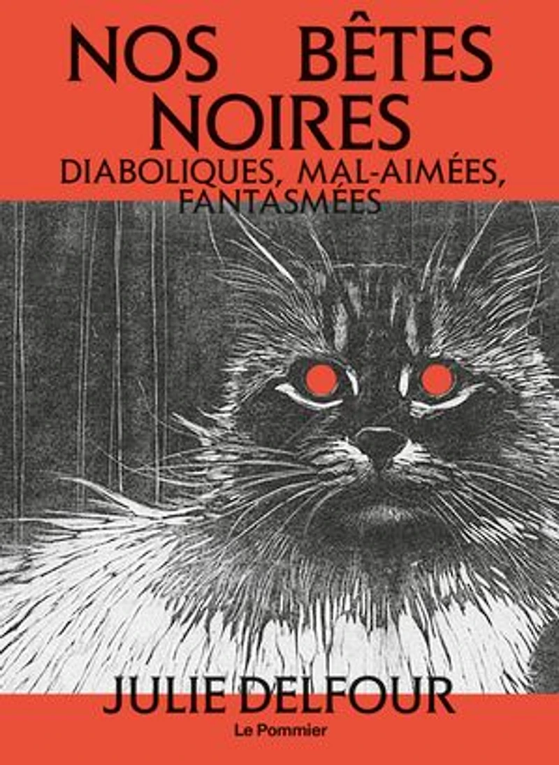 Nos bêtes noires: diaboliques, mal-aimées, fantasmées