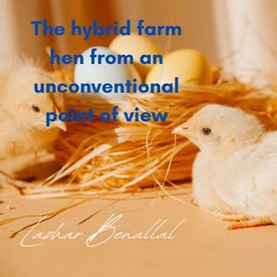 The hybrid farm hen from an unconventional point of view: Animal Production
