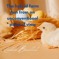 The hybrid farm hen from an unconventional point of view: Animal Production