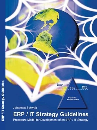 ERP / IT Strategy Guidelines