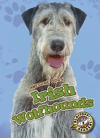 Irish Wolfhounds