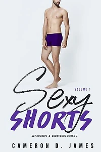 Sexy Shorts: Volume One: Gay Hookups and Anonymous Quickies: Sexy Shorts, #1