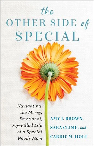 the Other Side of Special: Navigating Messy, Emotional, Joy-Filled Life a Special Needs Mom
