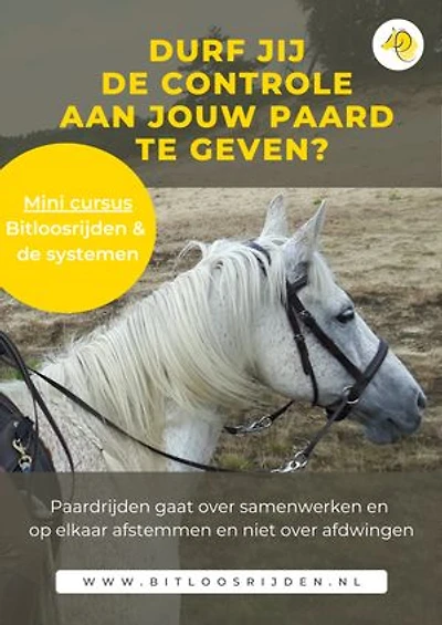 Bitloos rijden & de systemen: Durf jij de controle aan je paard te geven?