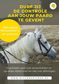 Bitloos rijden & de systemen: Durf jij de controle aan je paard te geven?