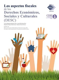 Los Aspectos fiscales de los derechos económicos, sociales y culturales (DESC) 2020