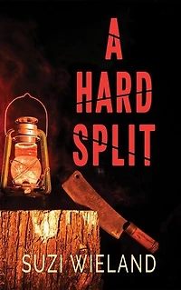 A Hard Split: Twisted Twins, #3