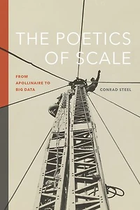 The Poetics of Scale: From Apollinaire to Big Data