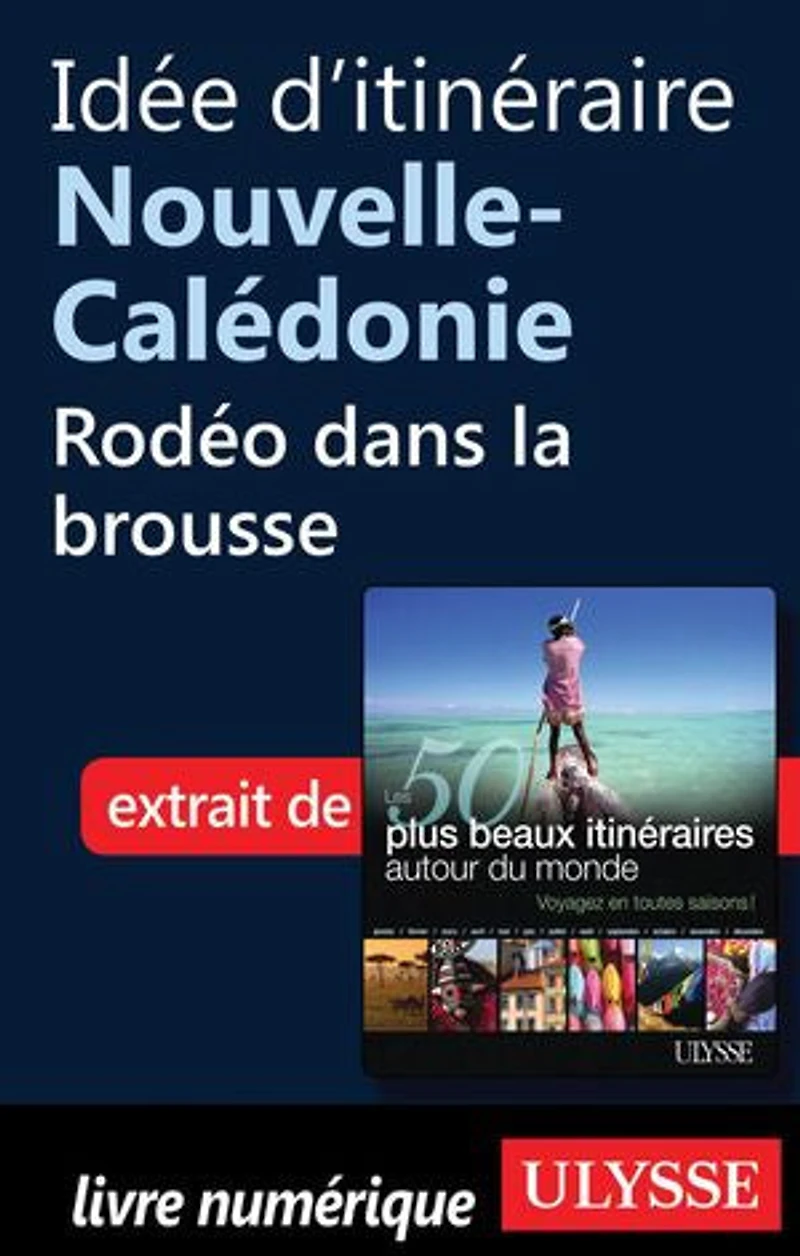 50 PLUS BEAUX ITINÉRAIRES AUTOUR DU MONDE (LES)