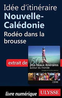 50 PLUS BEAUX ITINÉRAIRES AUTOUR DU MONDE (LES)