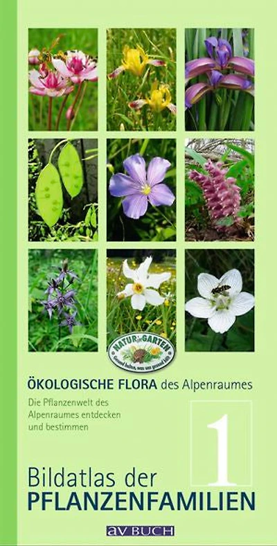 Ökologische Flora des Alpenraumes, Band 1: Bildatlas der Pflanzenfamilien. Die Pflanzenwelt des Alpenraumes entdecken und bestimmen