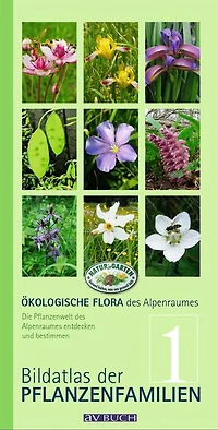 Ökologische Flora des Alpenraumes, Band 1: Bildatlas der Pflanzenfamilien. Die Pflanzenwelt des Alpenraumes entdecken und bestimmen