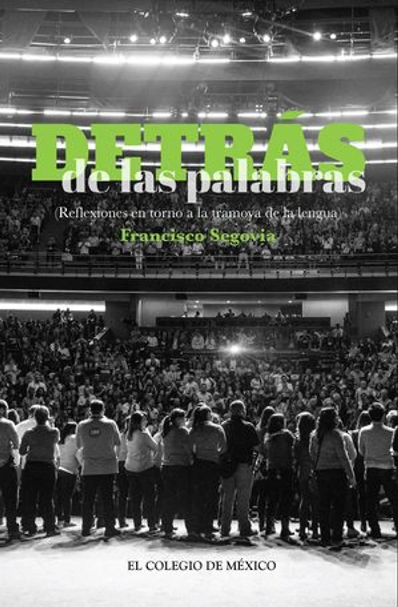 Detrás de las palabras.: (Reflexiones en torno a la tramoya de la lengua)