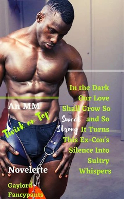 In the Dark Our Love Shall Grow So Sweet and So Strong It Turns This Ex-Con's Silence Into Sultry Whispers: An MM Twink on Top Novelette