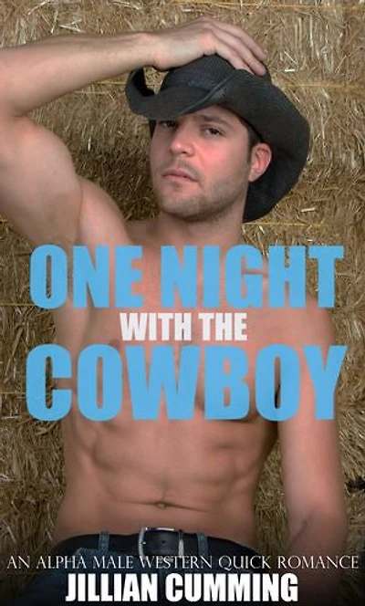 One Night with the Cowboy: An Alpha Male Western Quick Romance