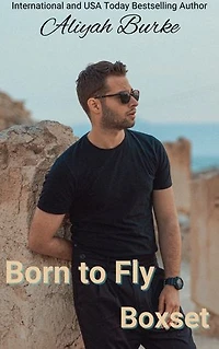 Born to Fly Boxset: A Contemporary, military, small town, holiday collection, Books 1-7