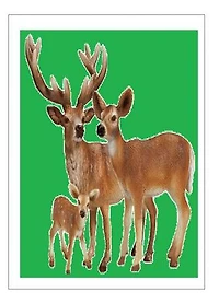 La biche au bois 6