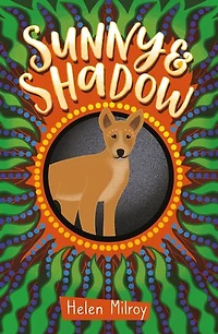 Sunny and Shadow