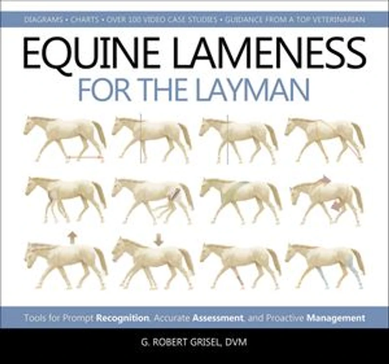 Equine Lameness for the Layman: Tools Prompt Recognition, Accurate Assessment, and Proactive Management
