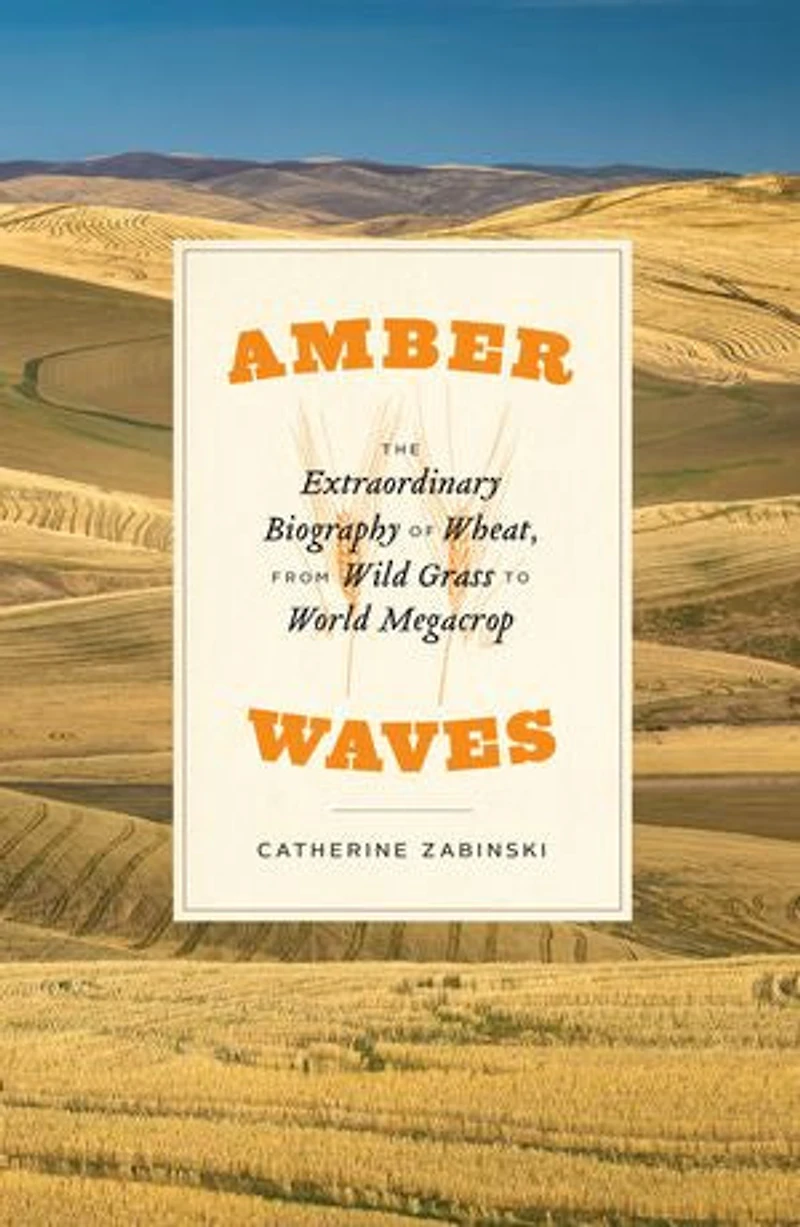 Amber Waves: The Extraordinary Biography Of Wheat, From Wild Grass To World Megacrop