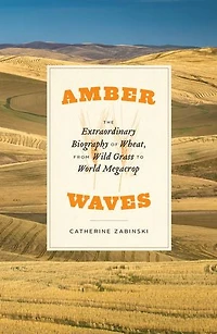 Amber Waves: The Extraordinary Biography Of Wheat, From Wild Grass To World Megacrop