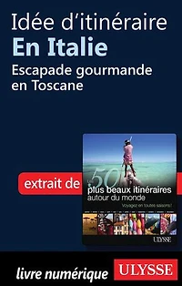 50 PLUS BEAUX ITINÉRAIRES AUTOUR DU MONDE (LES)