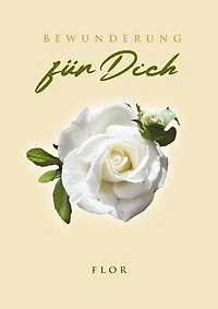 Bewunderung für Dich
