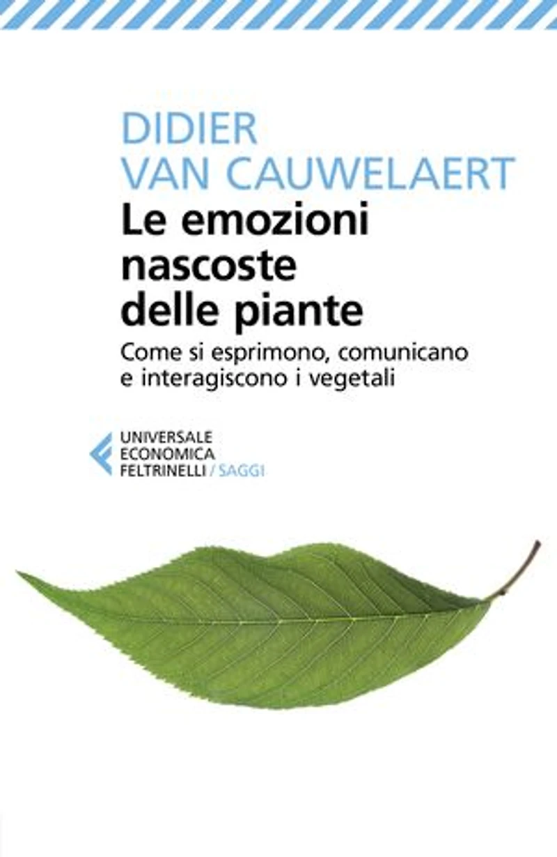 Le emozioni nascoste delle piante: Come si esprimono, comunicano e interagiscono i vegetali