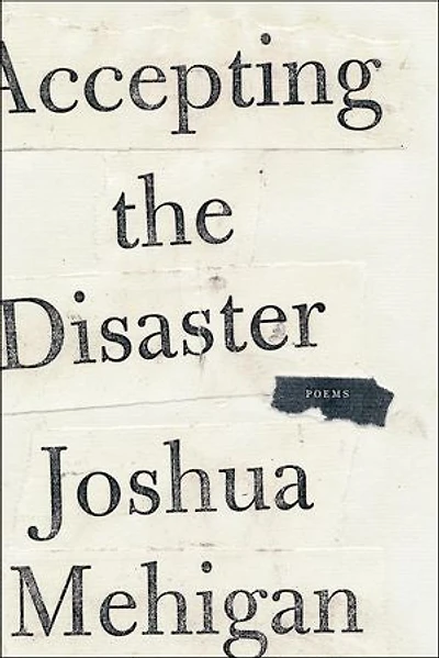 Accepting the Disaster: Poems