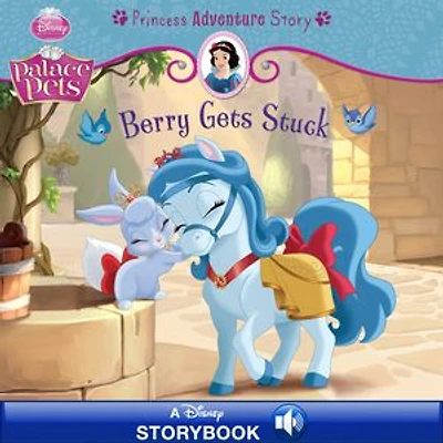 Palace Pets: Berry Gets Stuck: A Princess Adventure Story