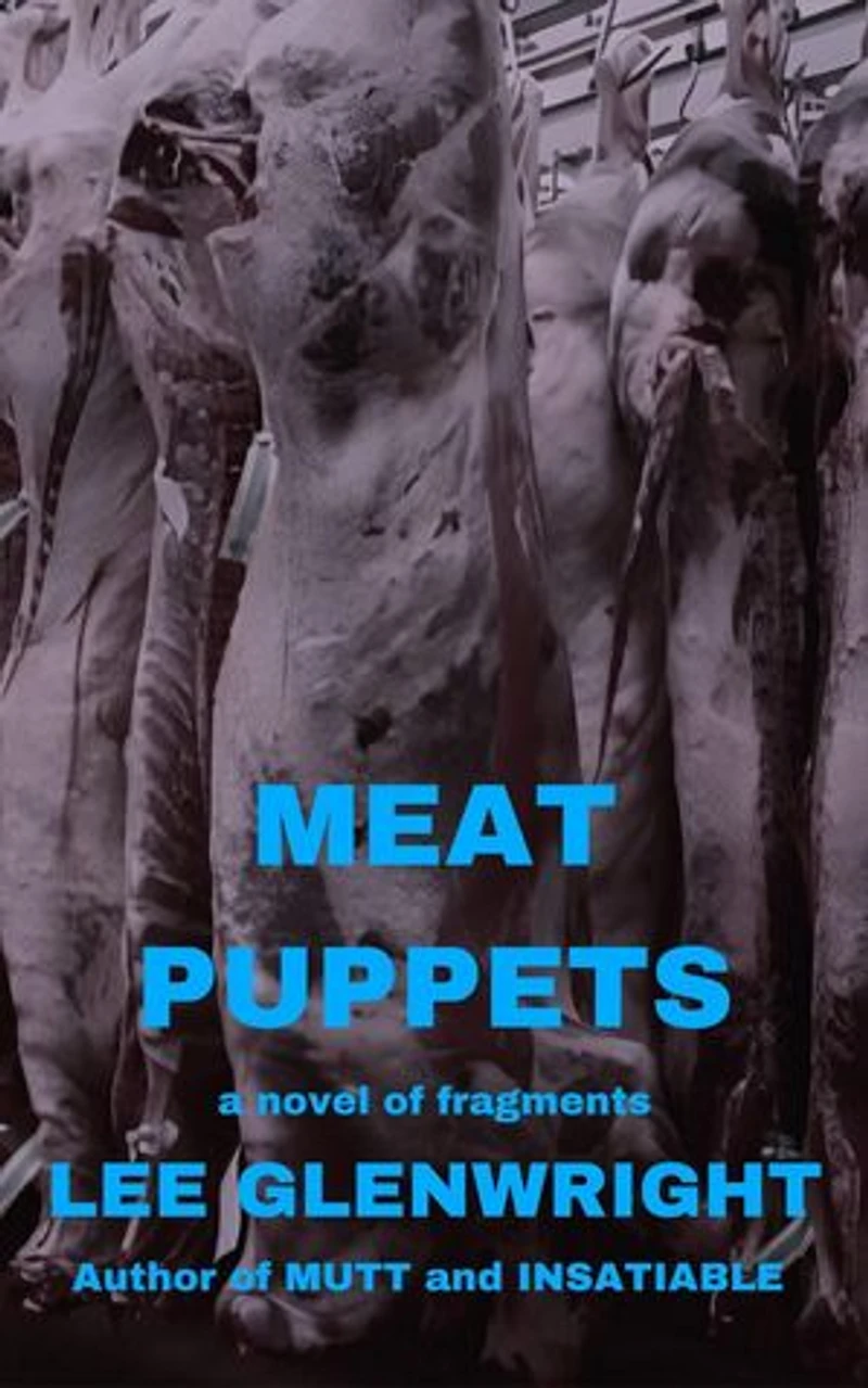 Meat Puppets: A Novel of Fragments