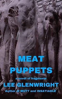 Meat Puppets: A Novel of Fragments
