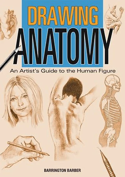 Drawing Anatomy