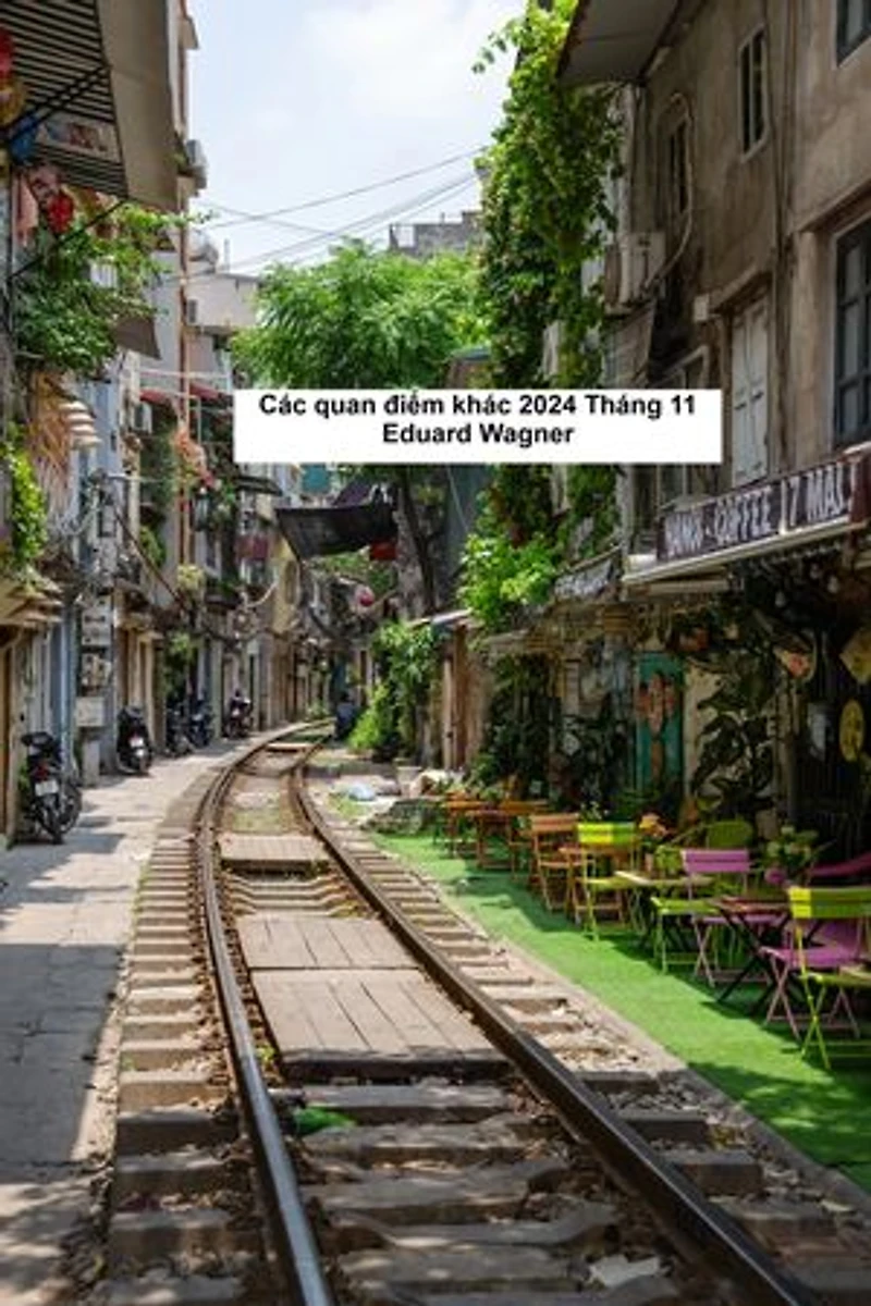 Các quan điểm khác 2024 Tháng 11