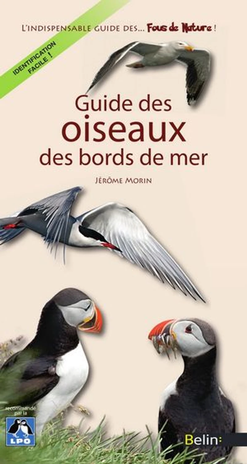 Guide des oiseaux bords de mer