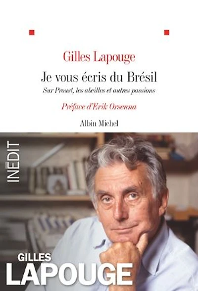 Je vous écris du Brésil: Sur Proust, les abeilles et autres passions