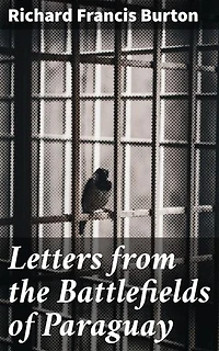 Letters from the Battlefields of Paraguay: A Chronicle of Paraguayan Conflict Through Letters