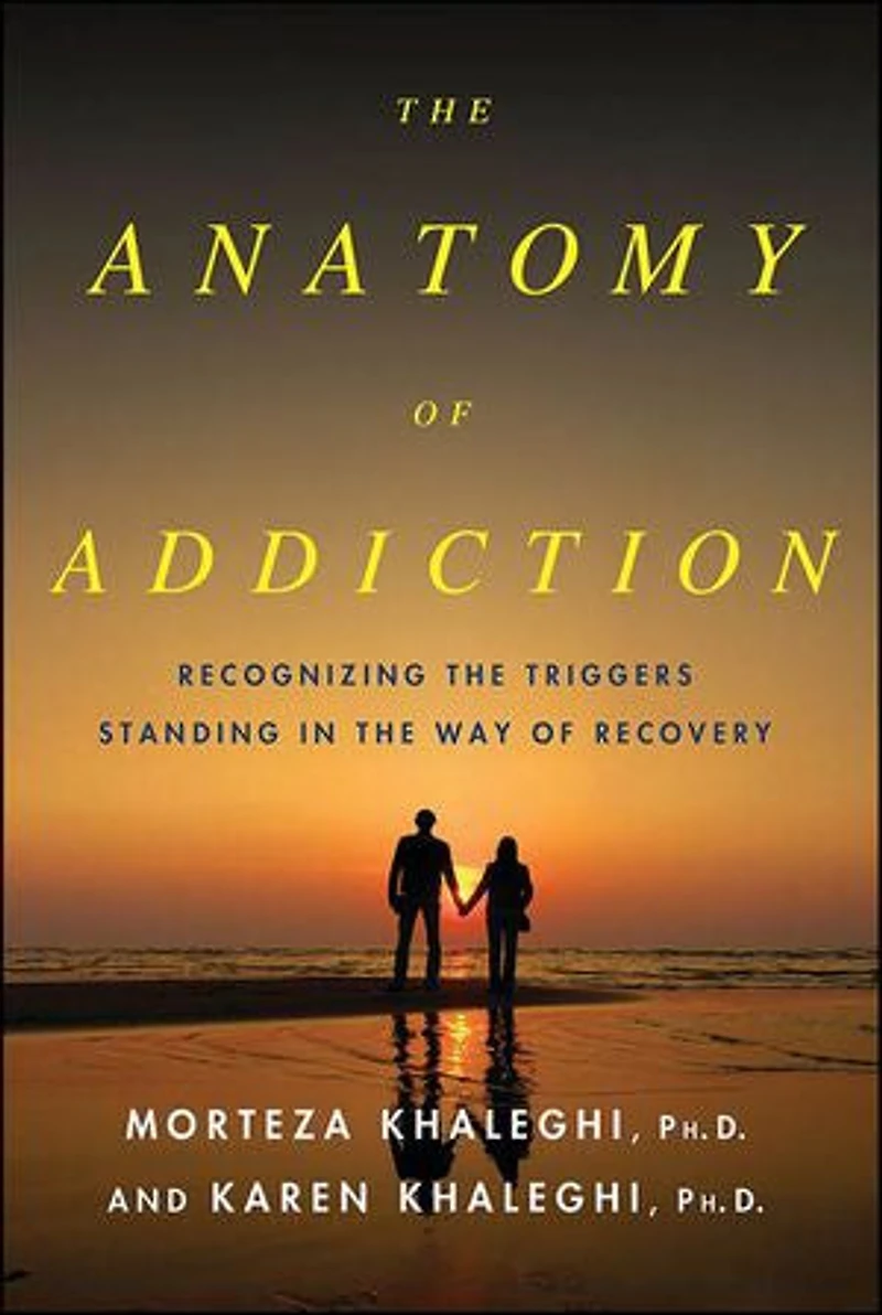 the Anatomy of Addiction: Overcoming Triggers That Stand Way Recovery