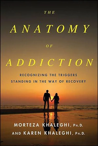 the Anatomy of Addiction: Overcoming Triggers That Stand Way Recovery